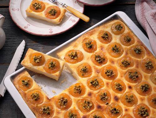 Aprikosen-Käsekuchen mit Pistazien