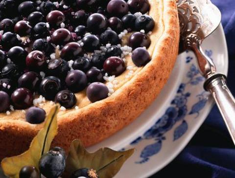 Heidelbeerkuchen mit Vanillecreme