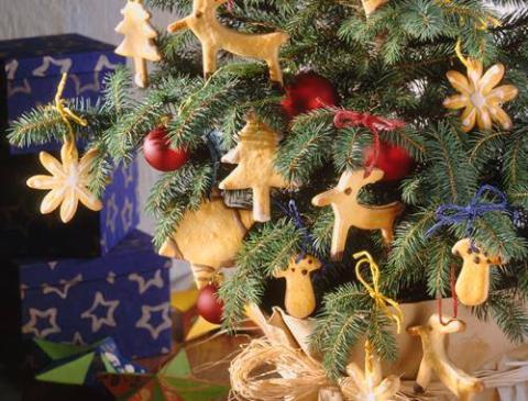 Weihnachtliche Gewürzkekse