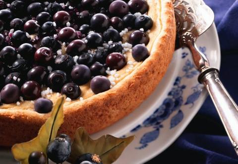Heidelbeerkuchen mit Vanillecreme Rezept - Rezept & Bild